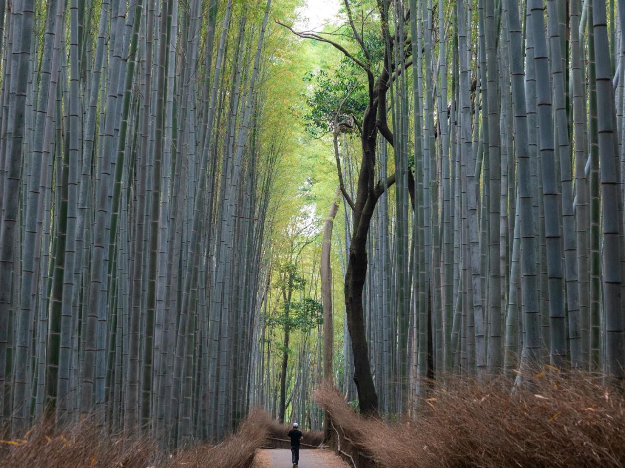 Sumitei Kiyomizu Gojo Otel Kyoto Dış mekan fotoğraf